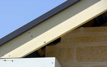 Honey Tye fascia repairs