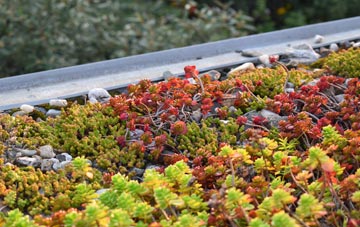 the cost of Honey Tye green roof installation