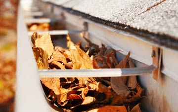 Honey Tye gutter cleaning companies