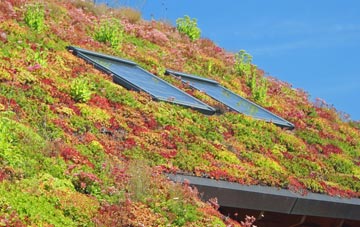 Honey Tye living roof systems