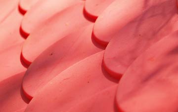 Honey Tye plastic roof costs