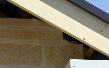 soffit repair Honey Tye