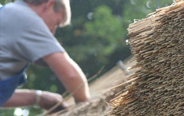 professional Honey Tye thatchers