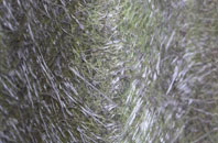 Honey Tye fibreglass roof work