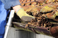 Honey Tye gutter cleaners