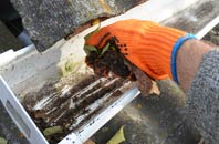rated Honey Tye gutter cleaning companies